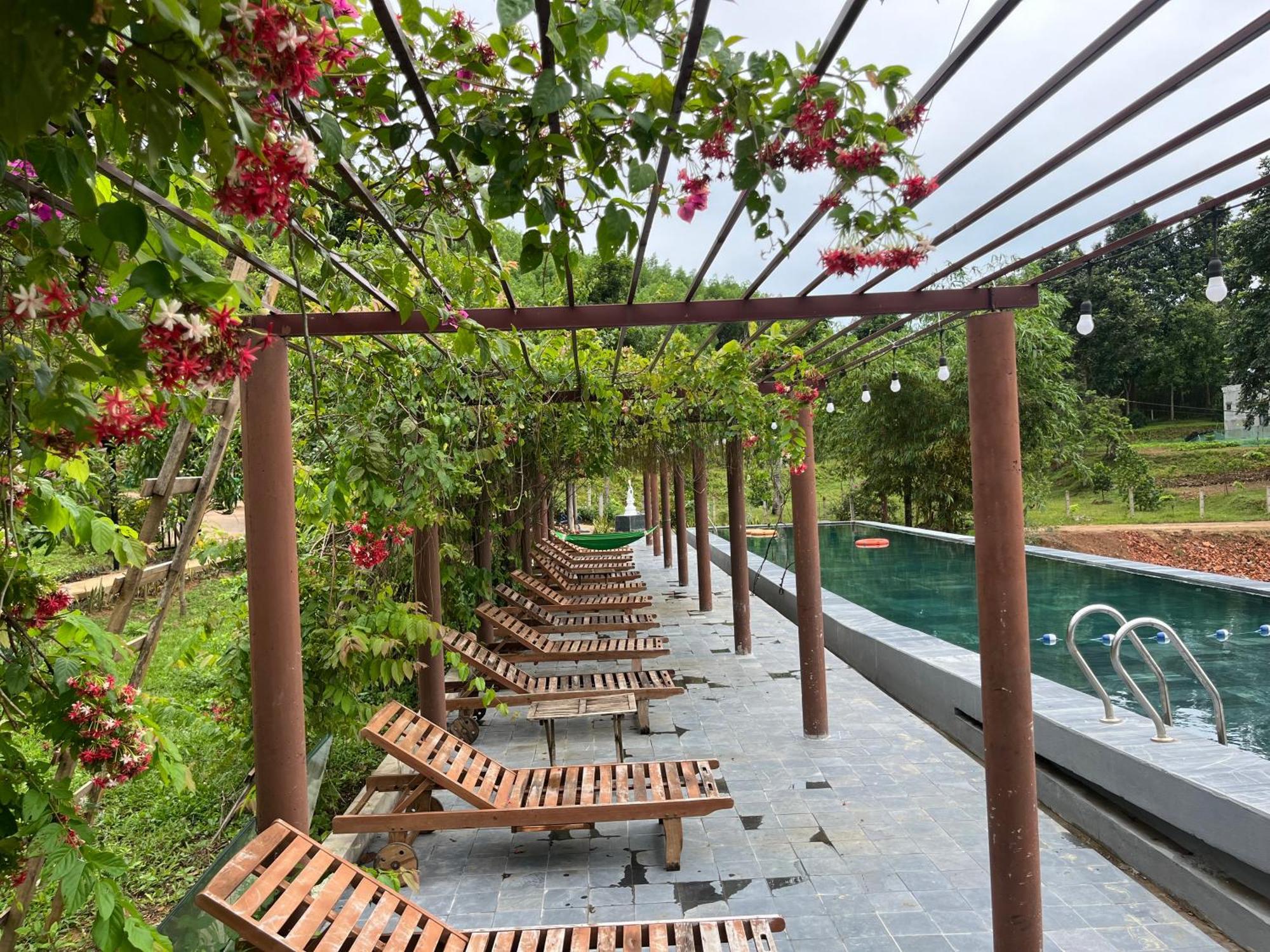 Nguyen Shack Retreat Resort 峰牙 外观 照片