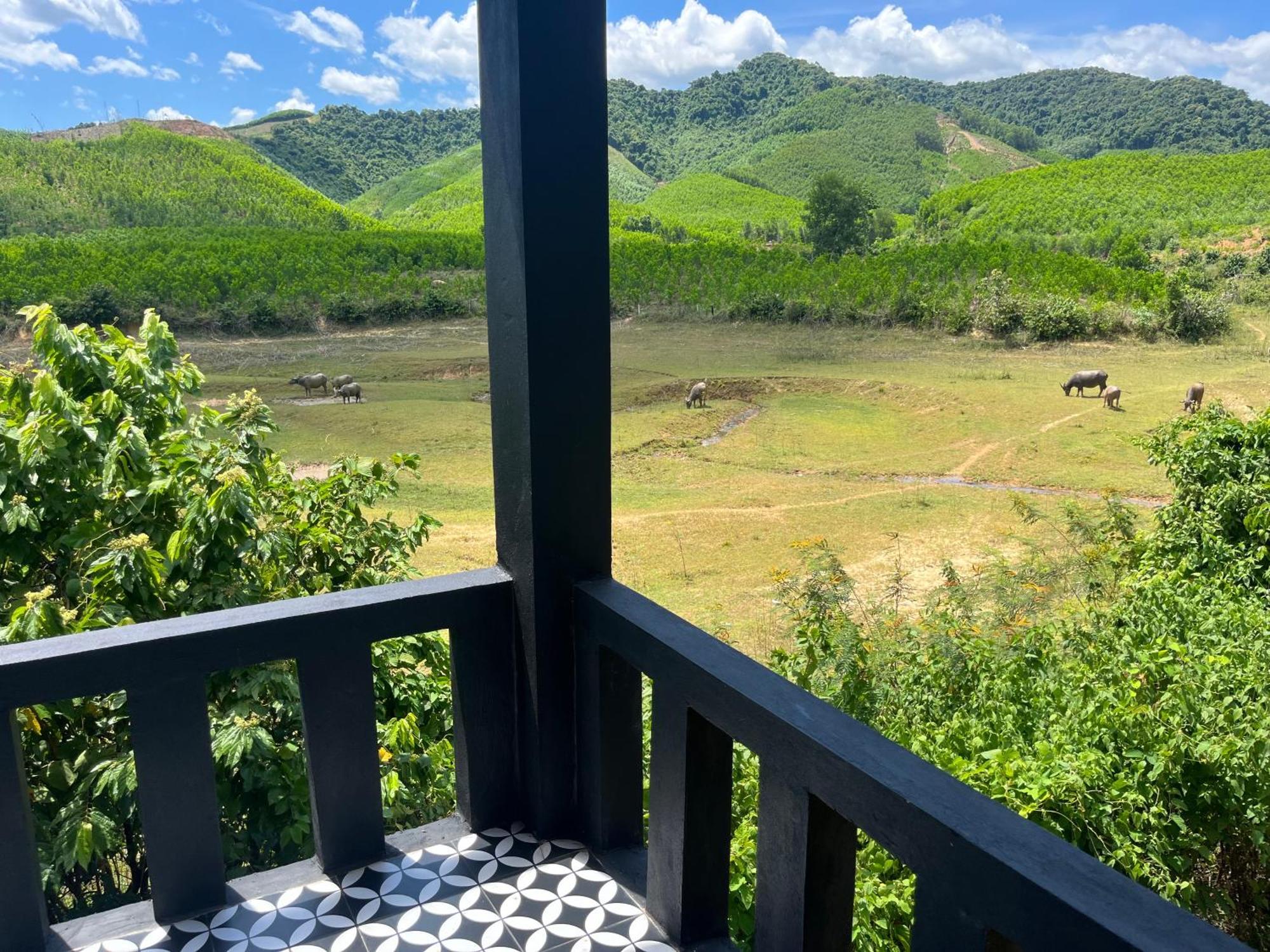 Nguyen Shack Retreat Resort 峰牙 外观 照片