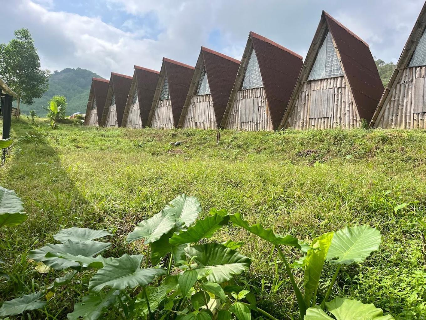 Nguyen Shack Retreat Resort 峰牙 外观 照片